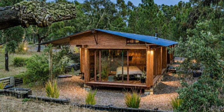 comporta-bois-clair-01