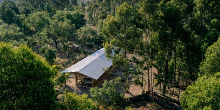 comporta-bois-clair-06